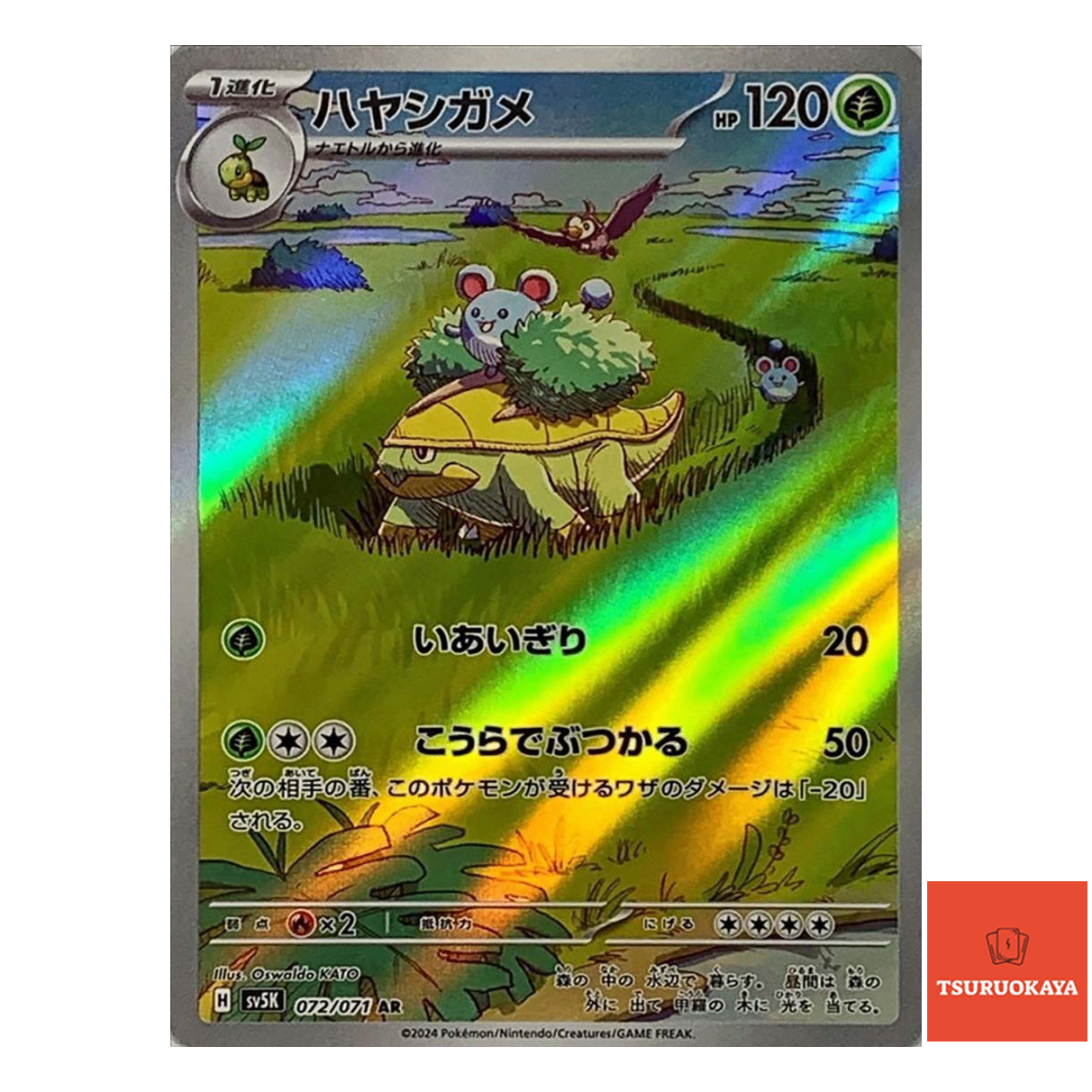Grotle  AR 072/071 SV5K Wild Force Japanese Pokemon Card