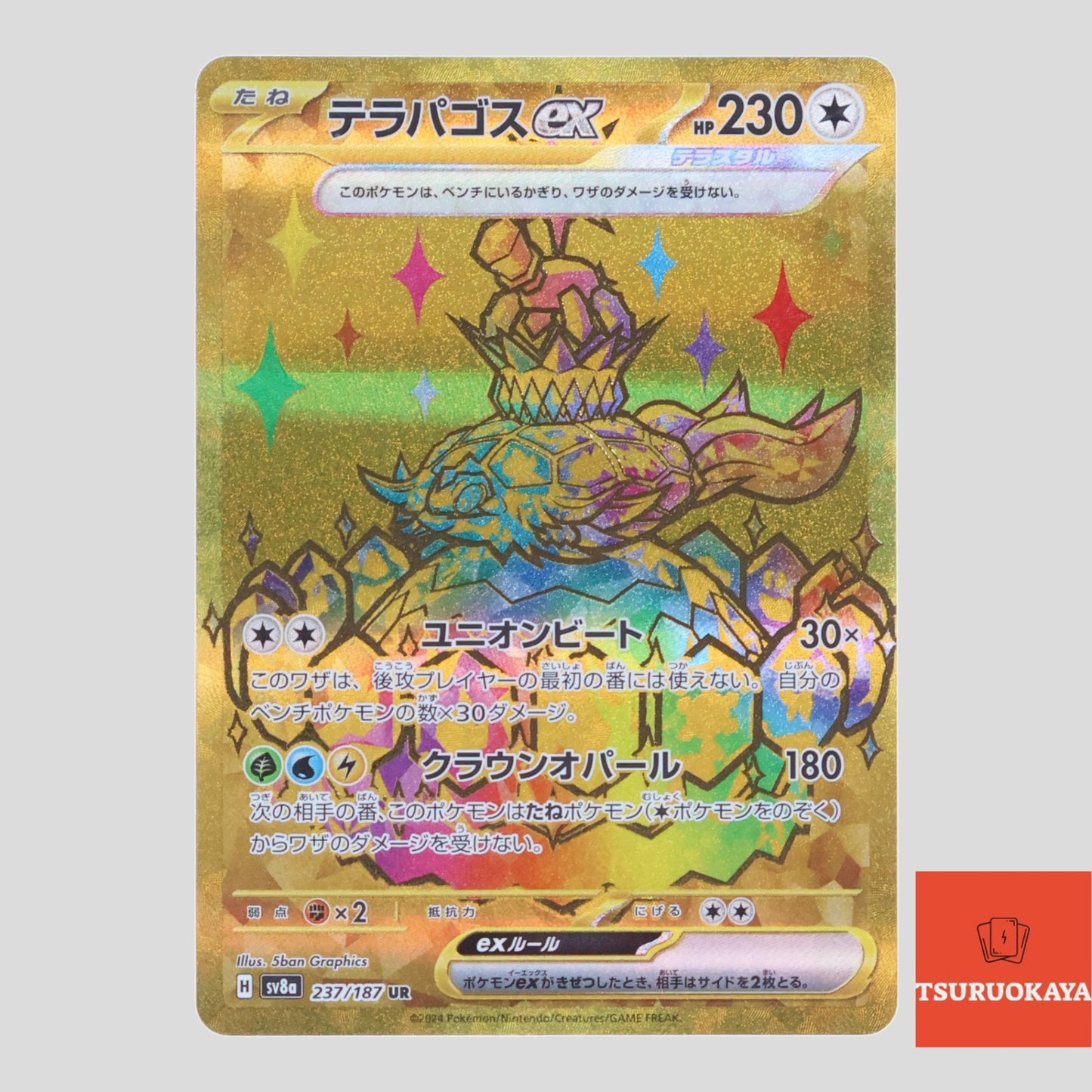 Terapagos ex  UR 237/187 SV8a Terrastal Festival Japanese Pokemon Card
