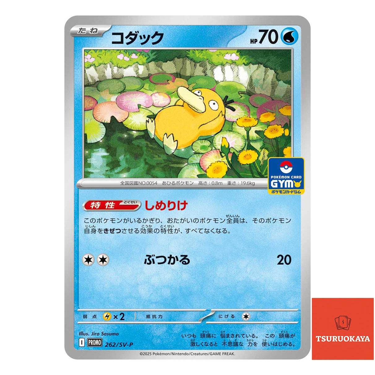 Psyduck  PROMO 262/SV-P SV10 Team Rocket Japanese Pokemon Card